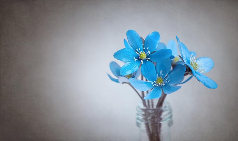 Flower Centerpiece